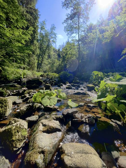 Lotenbachklamm