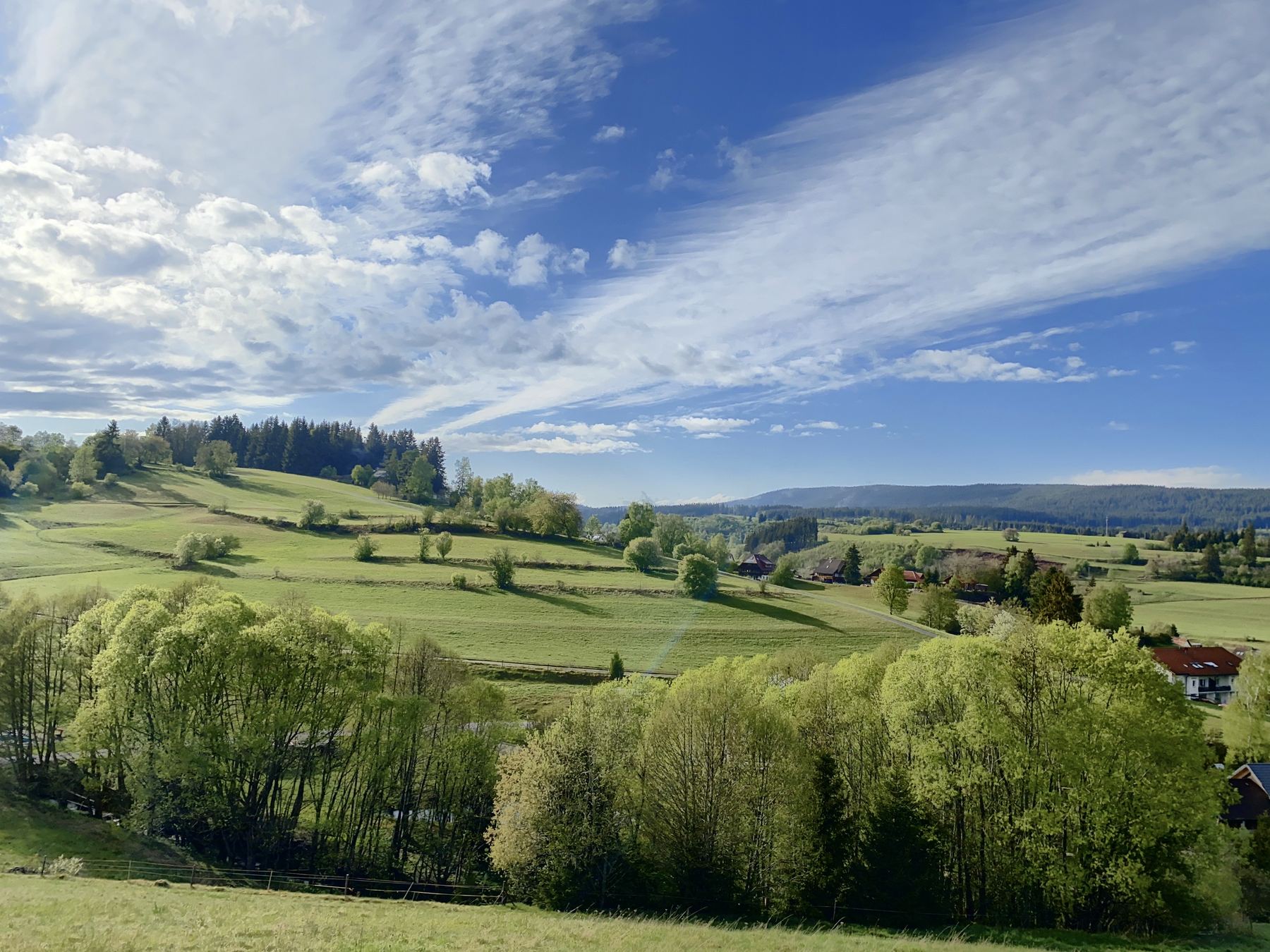 Landschaft im Südschwarzwald von Frühling bis Herbst