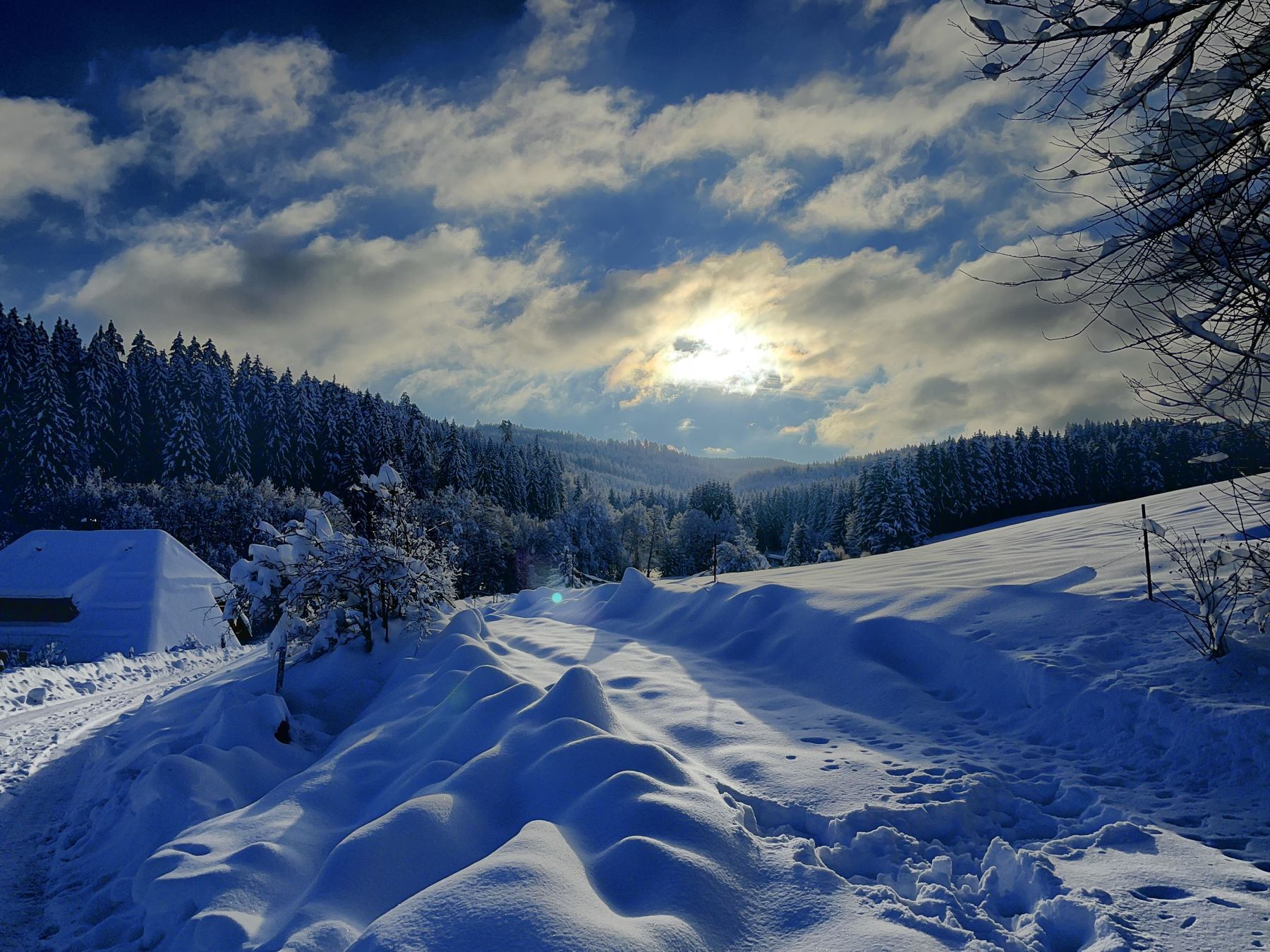 Winterlandschaft im Südschwarzwald